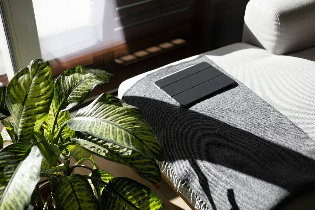 Comfort Tech: How Stress Management Apps Revolutionize Mental Wellness