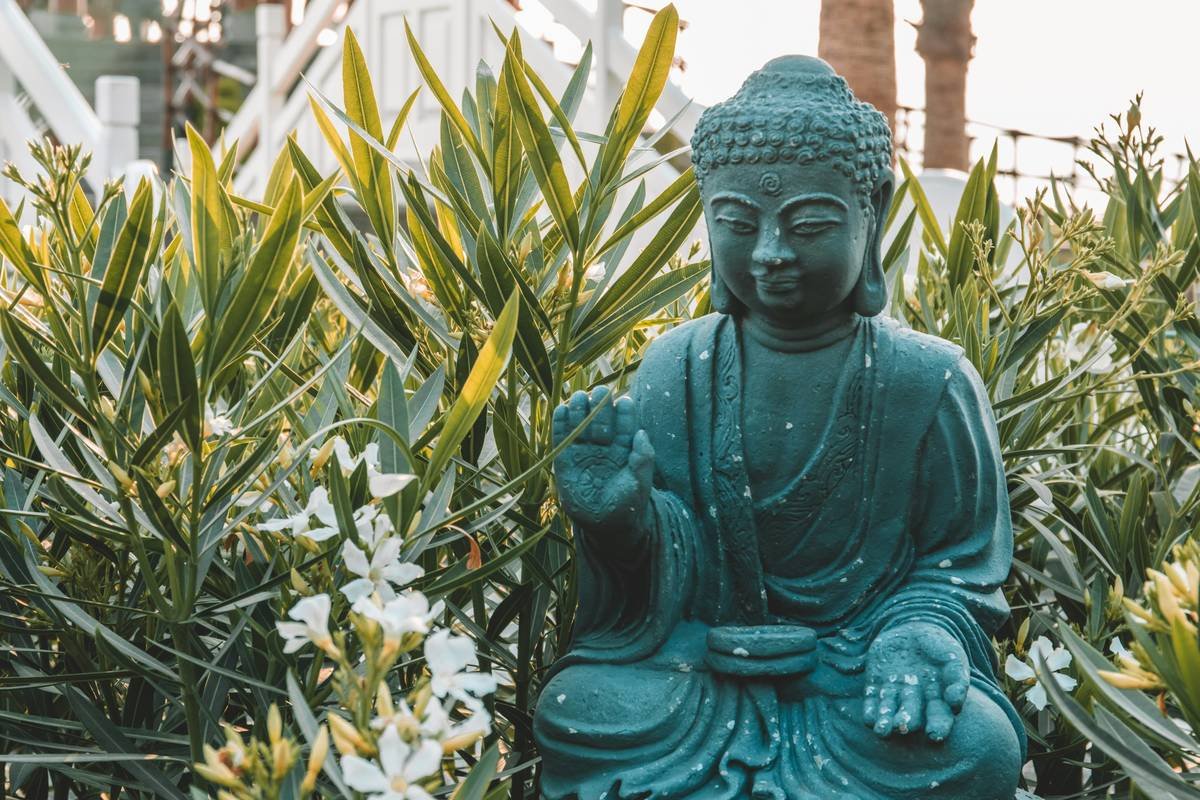 Is a Stress Tracker Ring Your Secret Weapon for Calm? We Tested the Tech So You Don’t Have To