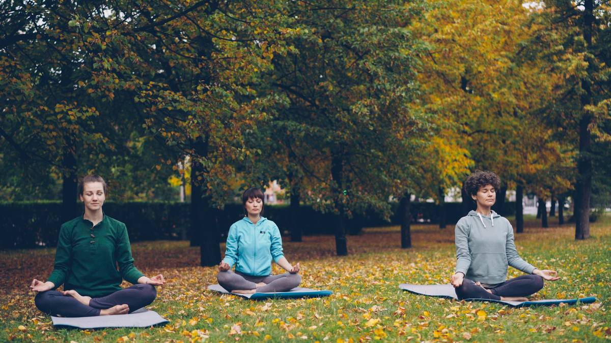 Pretty young women are relaxing sitting in lotus position on yoga mats in park and breathing fresh air resting after outdoor group practice. Meditation and nature concept.