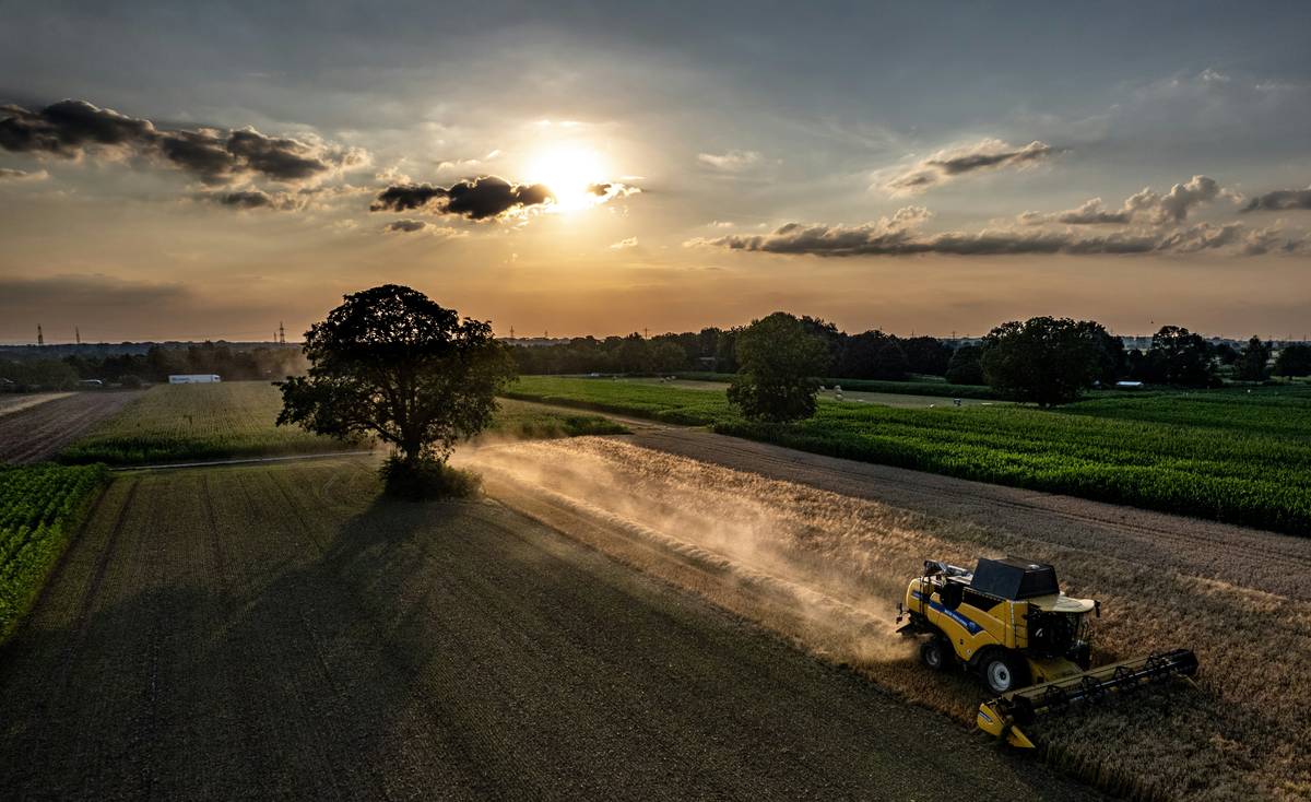 An aerial view of a combine harvester working in a field during sunset. The harvester is creating a cloud of dust as it moves through the crop, with the long shadow of a tree falling over the field. The surrounding landscape includes green and golden fields under a serene evening sky with scattered clouds. The image captures the tranquil rural scene and the intersection of agriculture and nature.