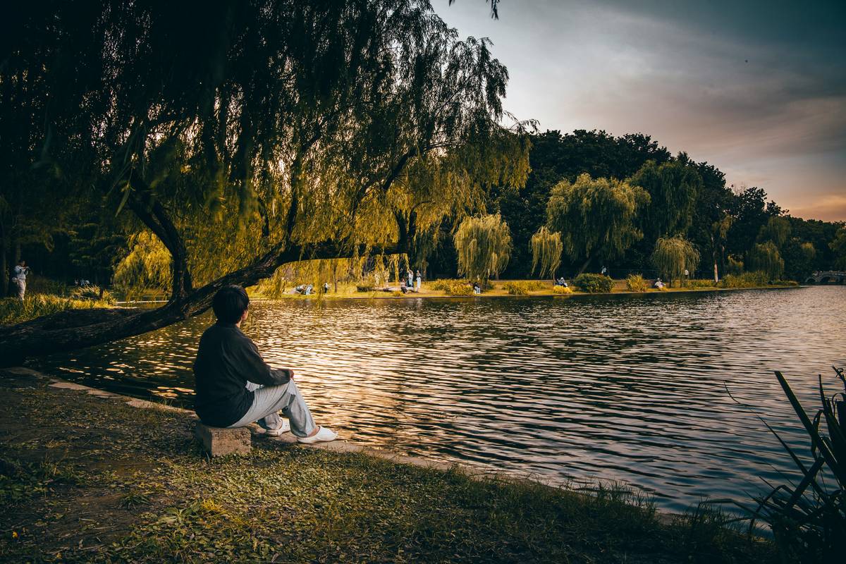 How Mindfulness Present Moment for Anxiety Can Rewire Your Nervous System (And Why It Actually Works)