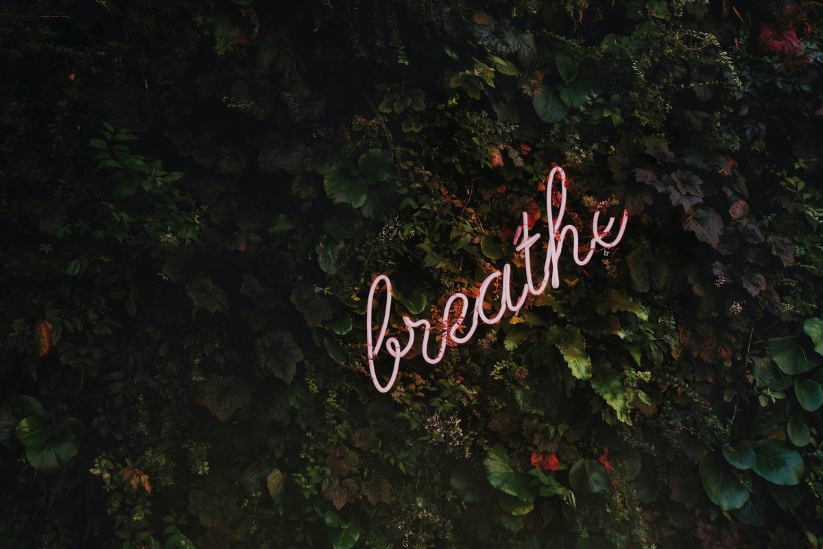 Infographic showing how slow breathing activates the vagus nerve to reduce heart rate and cortisol levels during anxiety